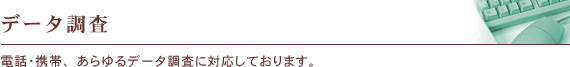 データ調査